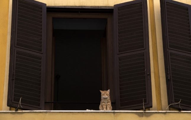 Italy's cat owners told to look out for signs of mystery 'rabies-like' virus