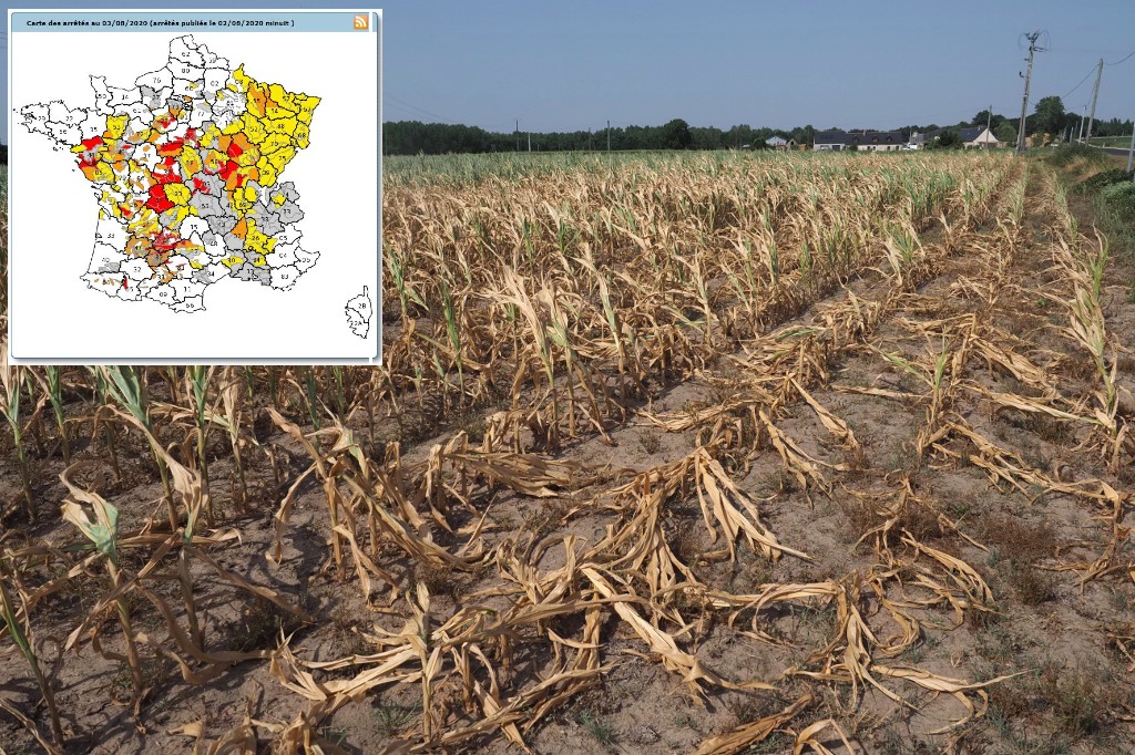 MAP Where in France has water restrictions in place