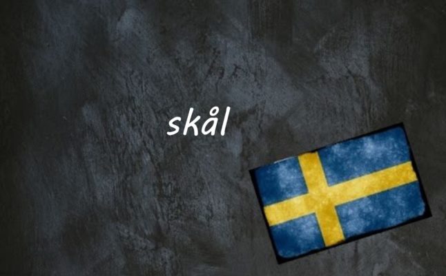 Swedish word of the day: skål