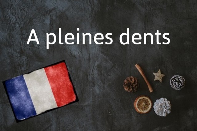 French expression of the day: A pleines dents