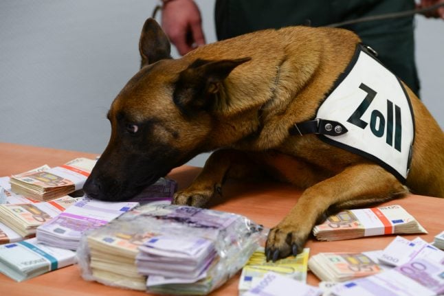 Meet the German airport dog sniffing out huge bundles of cash