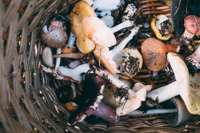 Pictured is a basket of mushrooms.
