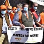Chasse à la glu: Why French hunters are taking the streets
