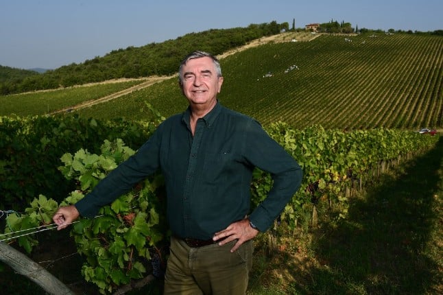 Lockdown 'a blessing in disguise' for Italian wine label