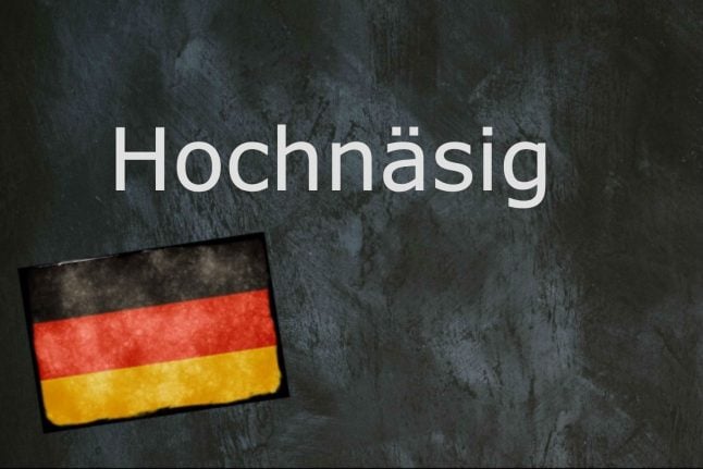 German word of the day: Hochnäsig