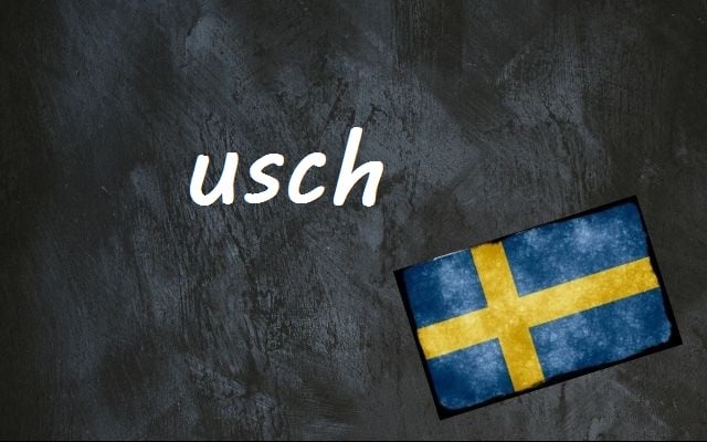 Swedish word of the day: usch
