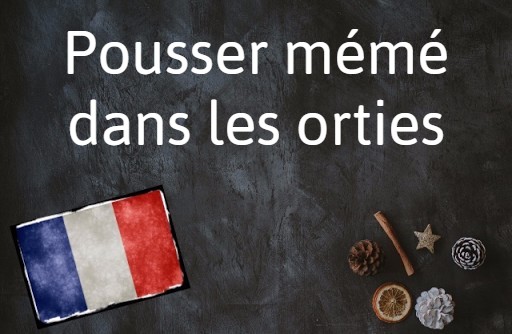 French word of the day: Pousser mémé dans les orties