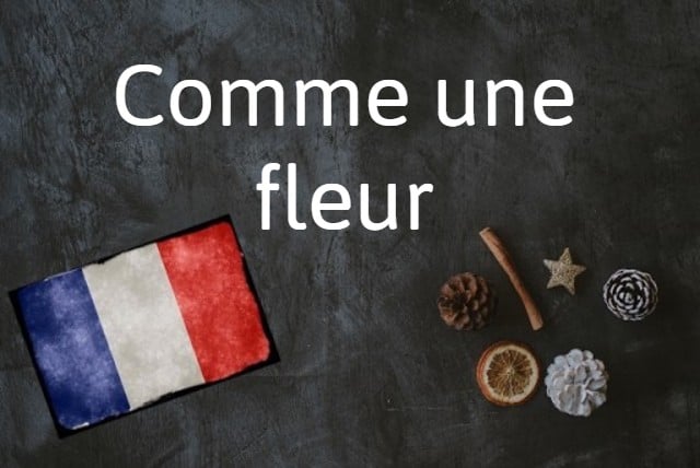 French expression of the day: Comme une fleur