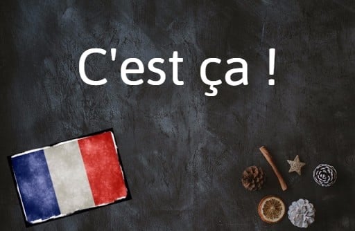 French expression of the day: C’est ça !