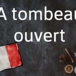 French word of the day: A tombeau ouvert