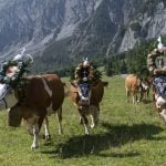 Changing economy and climate hit Austria’s Alpine pastures