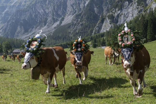 Changing economy and climate hit Austria's Alpine pastures
