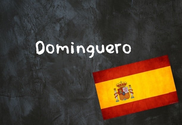 What in Spain are 'domingueros'?