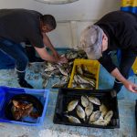 France ‘will not use fishermen as bargaining chip’ for Brexit deal