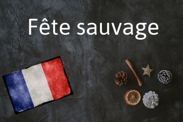 French phrase of the Day: Fête sauvage