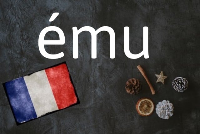 French word of the day: ému