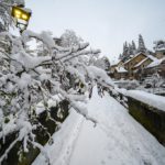 IN PHOTOS: First snowfalls of season turn northern Italy white