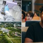 Six reasons to study at Stockholm University in 2021