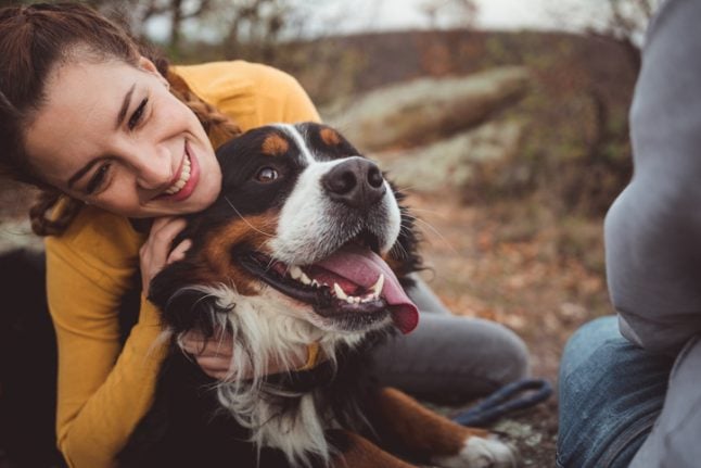 How owning a dog makes you more ‘German’