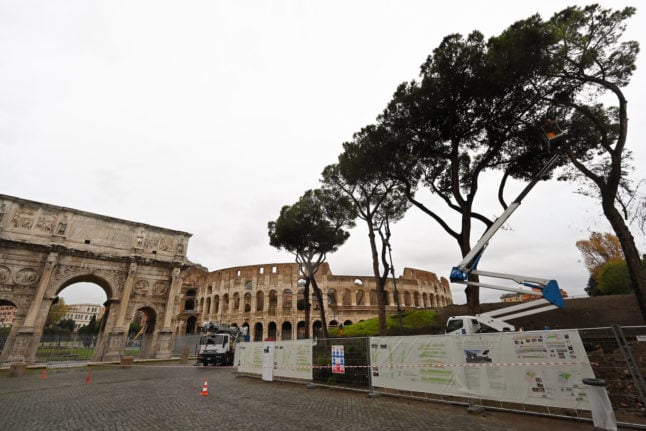 How insect invaders are threatening Rome’s iconic pines