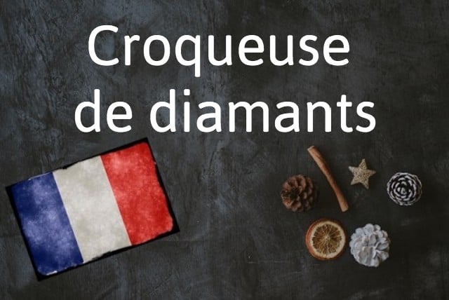 French expression of the day: Croqueuse de diamants