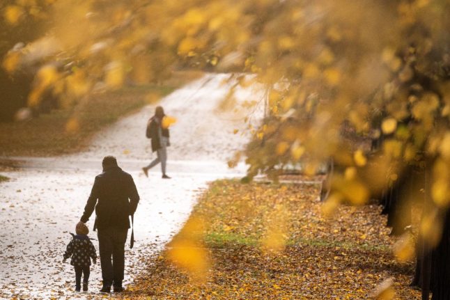 What you need to know about Germany's new parental benefits reforms