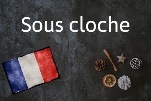 French phrase of the day: Sous cloche