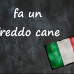 Italian expression of the day: ‘Fa un freddo cane’