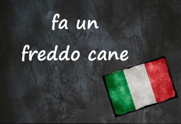 Italian expression of the day: 'Fa un freddo cane'