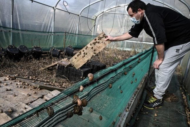 French snail farmers struggling as restaurant shutdown kills trade