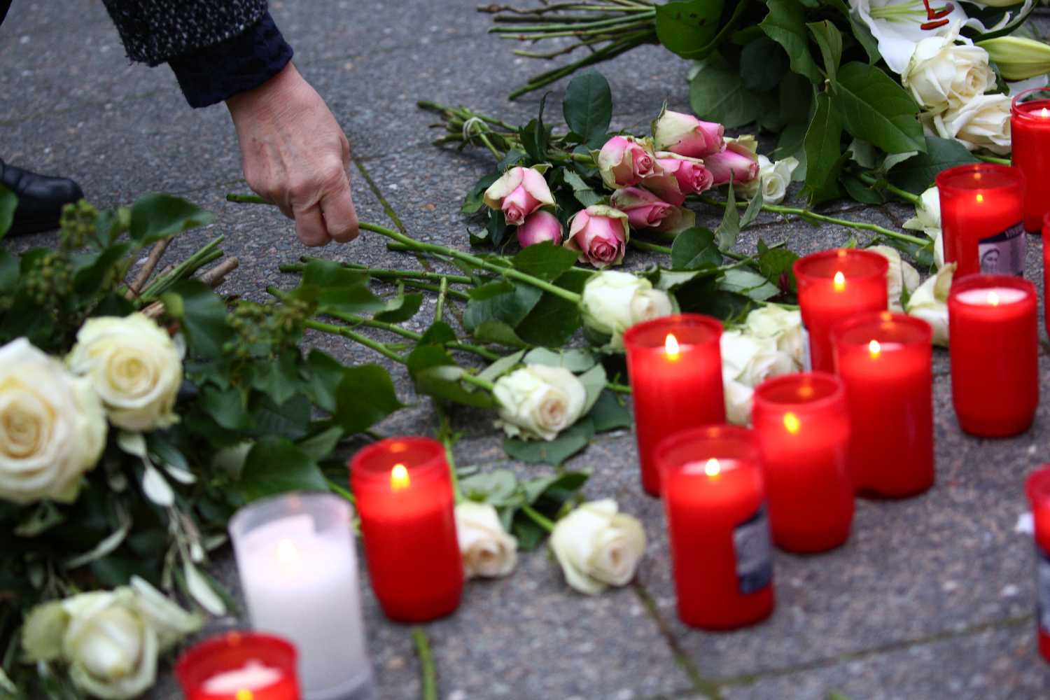 Families of Vienna terror attack victims sue Austrian government