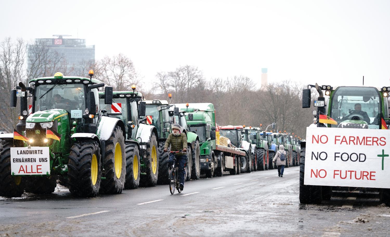 ‘No food, no future’: German farmers protest against insect protection plans