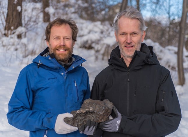 Meteorite hunters find Sweden's first ever new-fallen iron meteorite