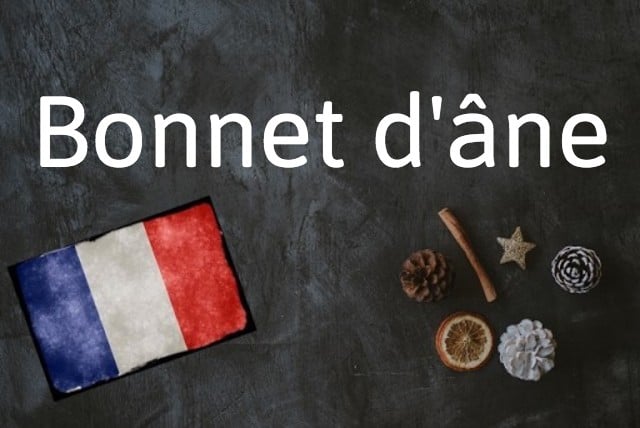 French expression of the day: Bonnet d'âne
