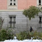 Why thousands of trees in Spain’s capital are at risk of dying
