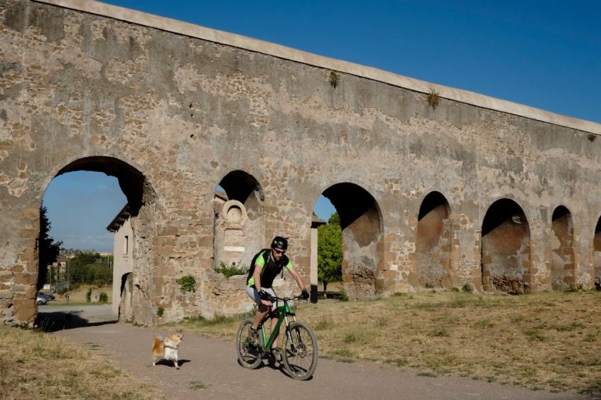 Moving to Italy with pets? Here’s what you need to know