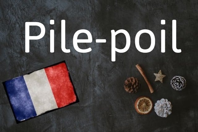 French word of the day: Pile-poil