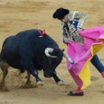 Spanish crowds to return to the bullring next month in support of Covid-hit matadors