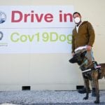 Sit, stay, sniff: Italy trains Covid-19 detection dogs to smell out virus