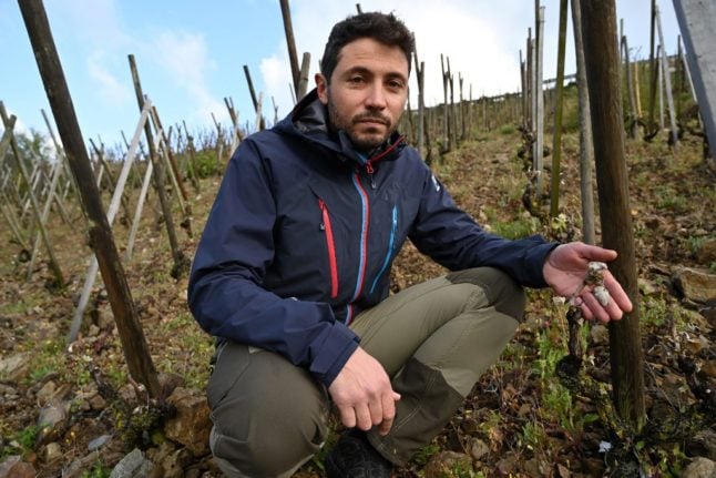 ‘We’ve lost at least 70,000 bottles’ – French winemakers count the cost of late frosts