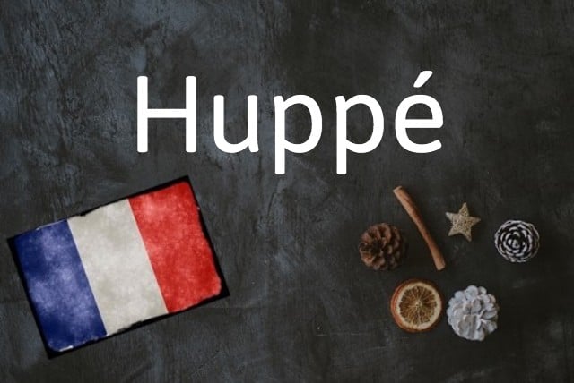 French word of the day: Huppé