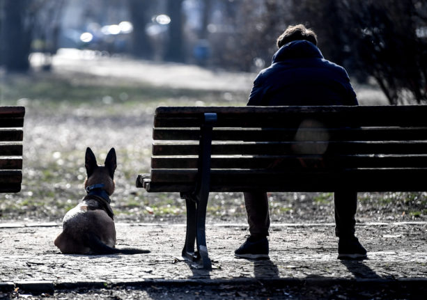 Furry friends help Germans ease pandemic blues