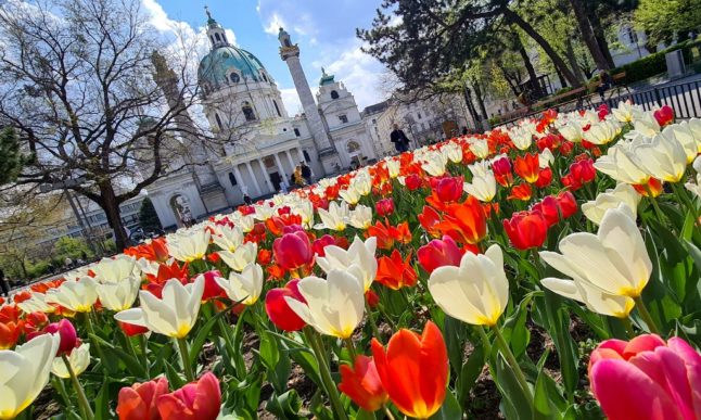 Tulips blossom in front of the Karlskirche in Vienna. (Photo by JOE KLAMAR / AFP)
