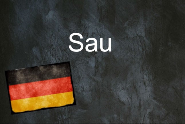 German word of the day: Sau