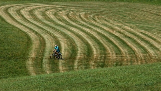 A man rides his bike through a pasture field near the village of Tahl near Graz (Photo by JOE KLAMAR / AFP)