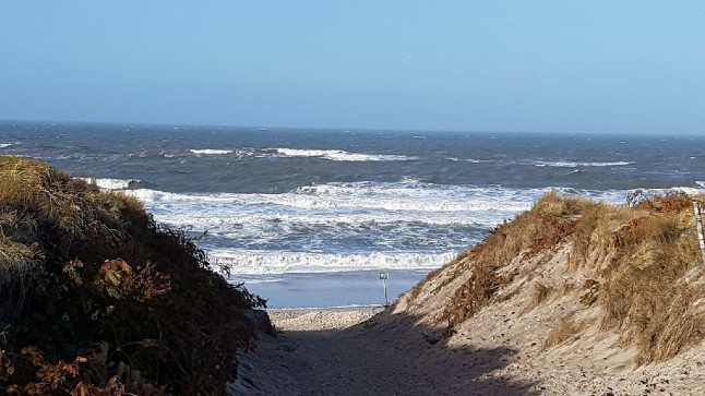 These are Denmark’s 13 new perfect swim spots