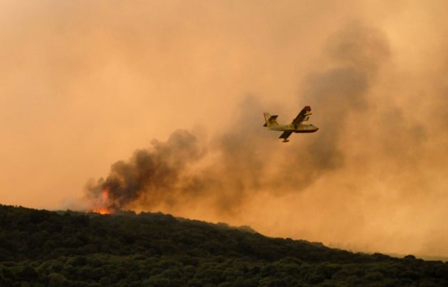 ‘A disaster without precedent’: Sardinia wildfires ravage west of Italian island