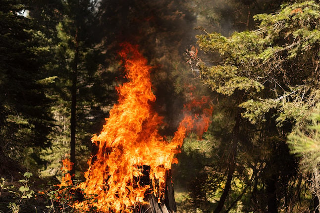 What to do and what to avoid if you witness a forest fire in Spain