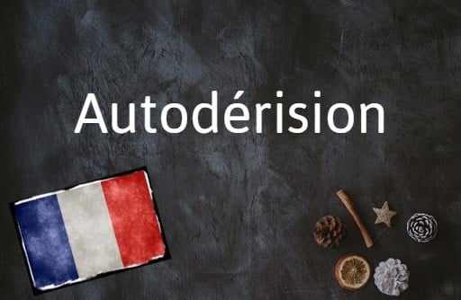 Word of the day: Autodérision