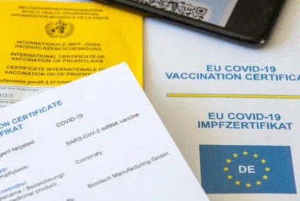 ‘Makes life easier’: What foreigners in Germany think about the new digital vaccine pass